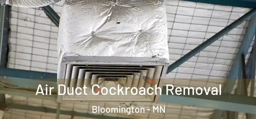 Air Duct Cockroach Removal Bloomington - MN
