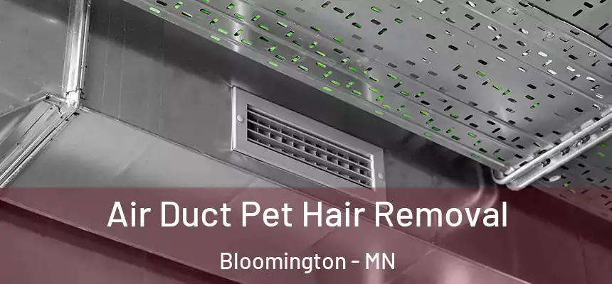 Air Duct Pet Hair Removal Bloomington - MN