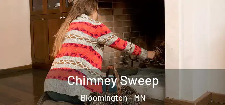 Chimney Sweep Bloomington - MN
