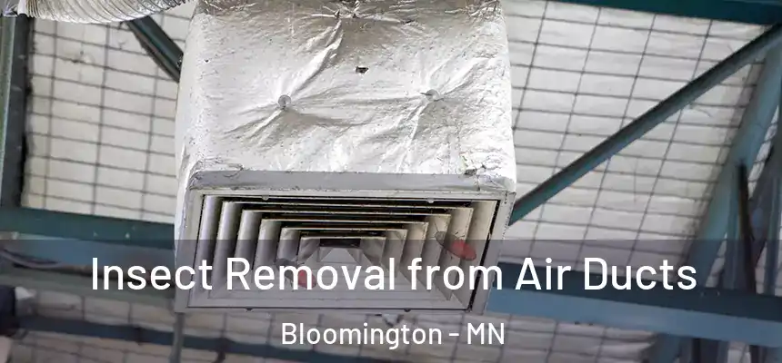 Insect Removal from Air Ducts Bloomington - MN