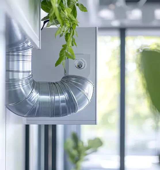 Professional Eco-Safe Dryer Vent Cleaning in Bloomington, MN