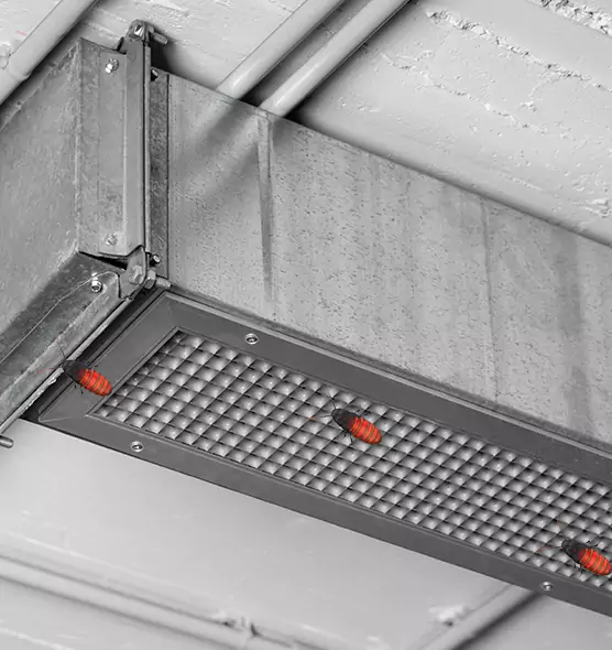 Affordable Insect Removal from Air Ducts in Bloomington, MN