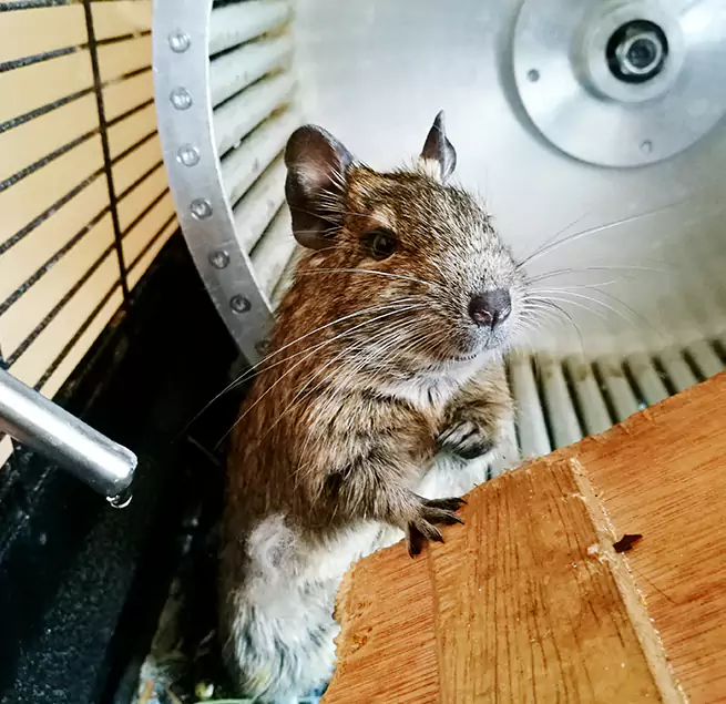 Why Homeowners & Businesses Trust Us Bloomington, MN?