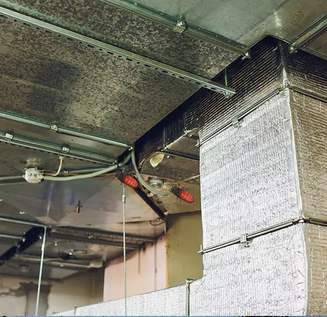 Why Homeowners & Businesses Trust Us Bloomington, MN?