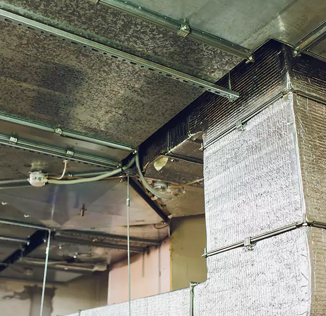 Why Homeowners & Businesses Trust Us in Bloomington, MN?